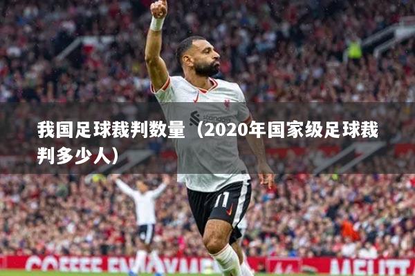 我国足球裁判数量（2020年国家级足球裁判多少人）