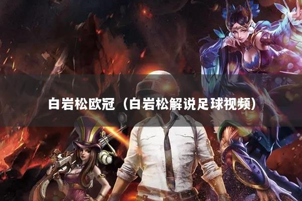 白岩松欧冠（白岩松解说足球视频）