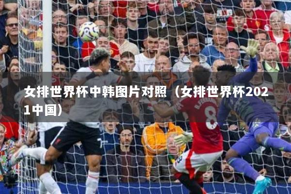女排世界杯中韩图片对照（女排世界杯2021中国）