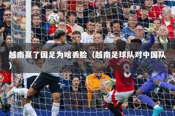 越南赢了国足为啥丢脸(越南足球队对中国队)