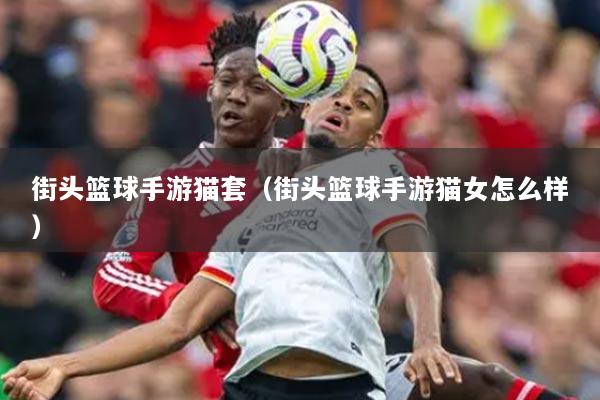 街头篮球手游猫套(街头篮球手游猫女怎么样)