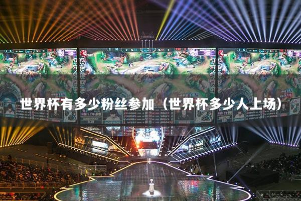 世界杯有多少粉丝参加(世界杯多少人上场)