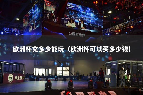 欧洲杯充多少能玩（欧洲杯可以买多少钱）