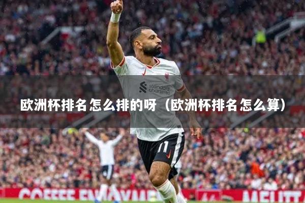 欧洲杯排名怎么排的呀（欧洲杯排名怎么算）