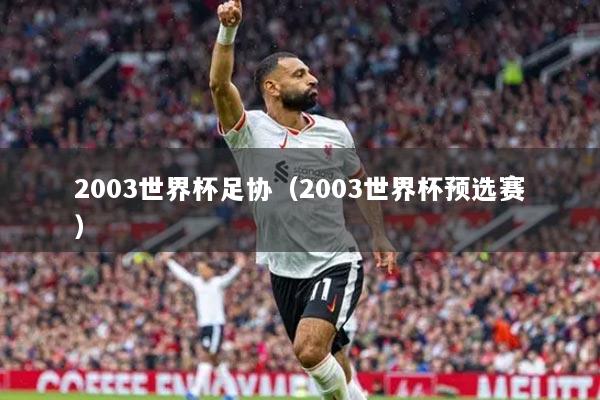 2003世界杯足协（2003世界杯预选赛）