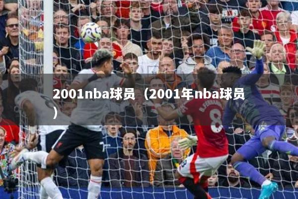 2001nba球员（2001年nba球员）